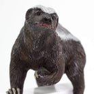Honey Badger Figure by Safari 3