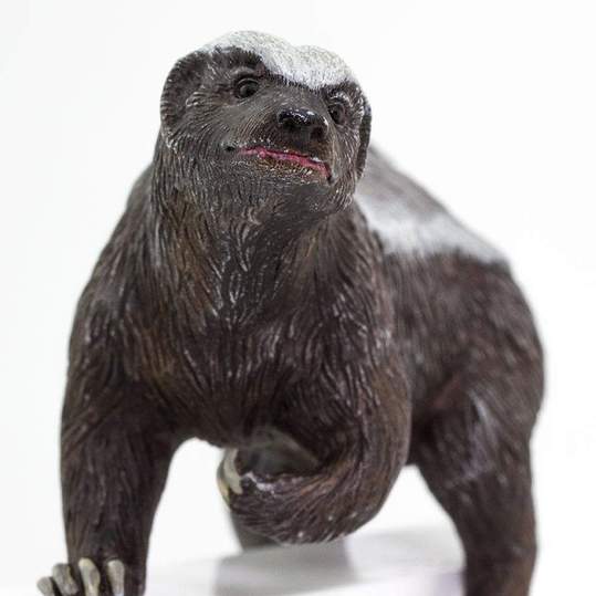 Honey Badger Figure by Safari 3