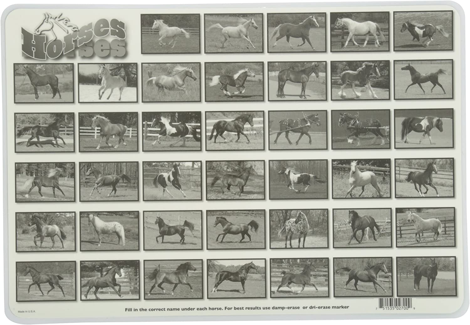 Horses Placemat by Painless Learning 1