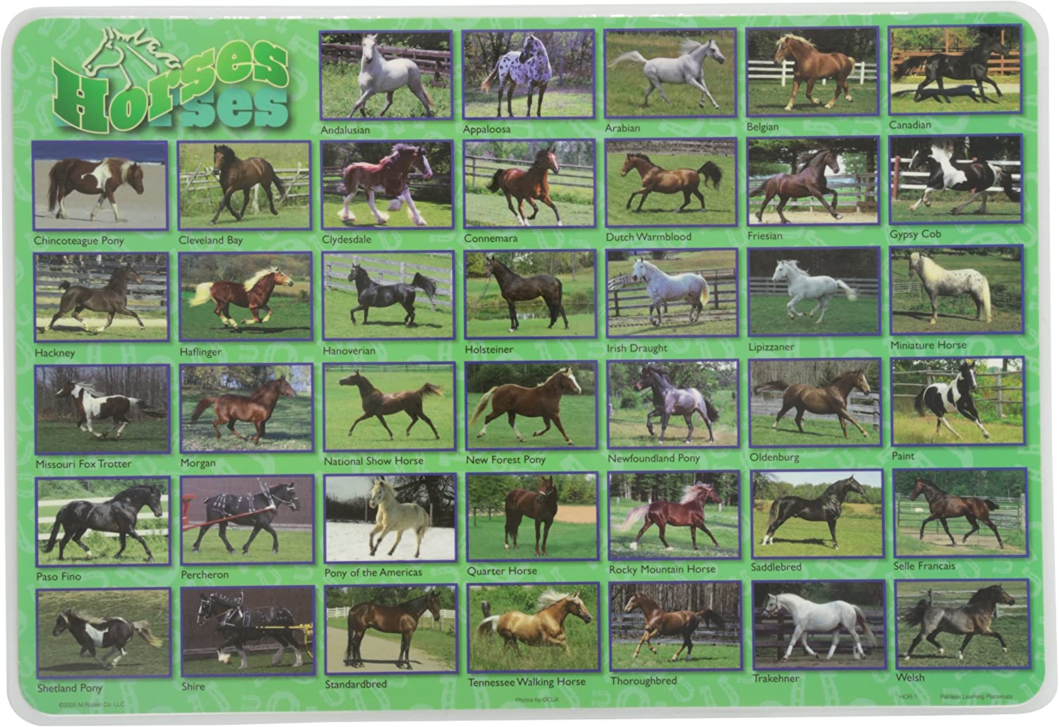 Horses Placemat by Painless Learning