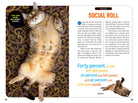 How to Speak Cat A Guide to Decoding Cat Language by Penguin Random House 2