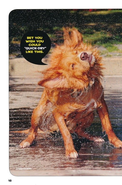 How to Speak Dog A Guide to Decoding Dog Language by Penguin Random House 4