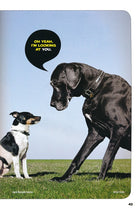 How to Speak Dog A Guide to Decoding Dog Language by Penguin Random House 6