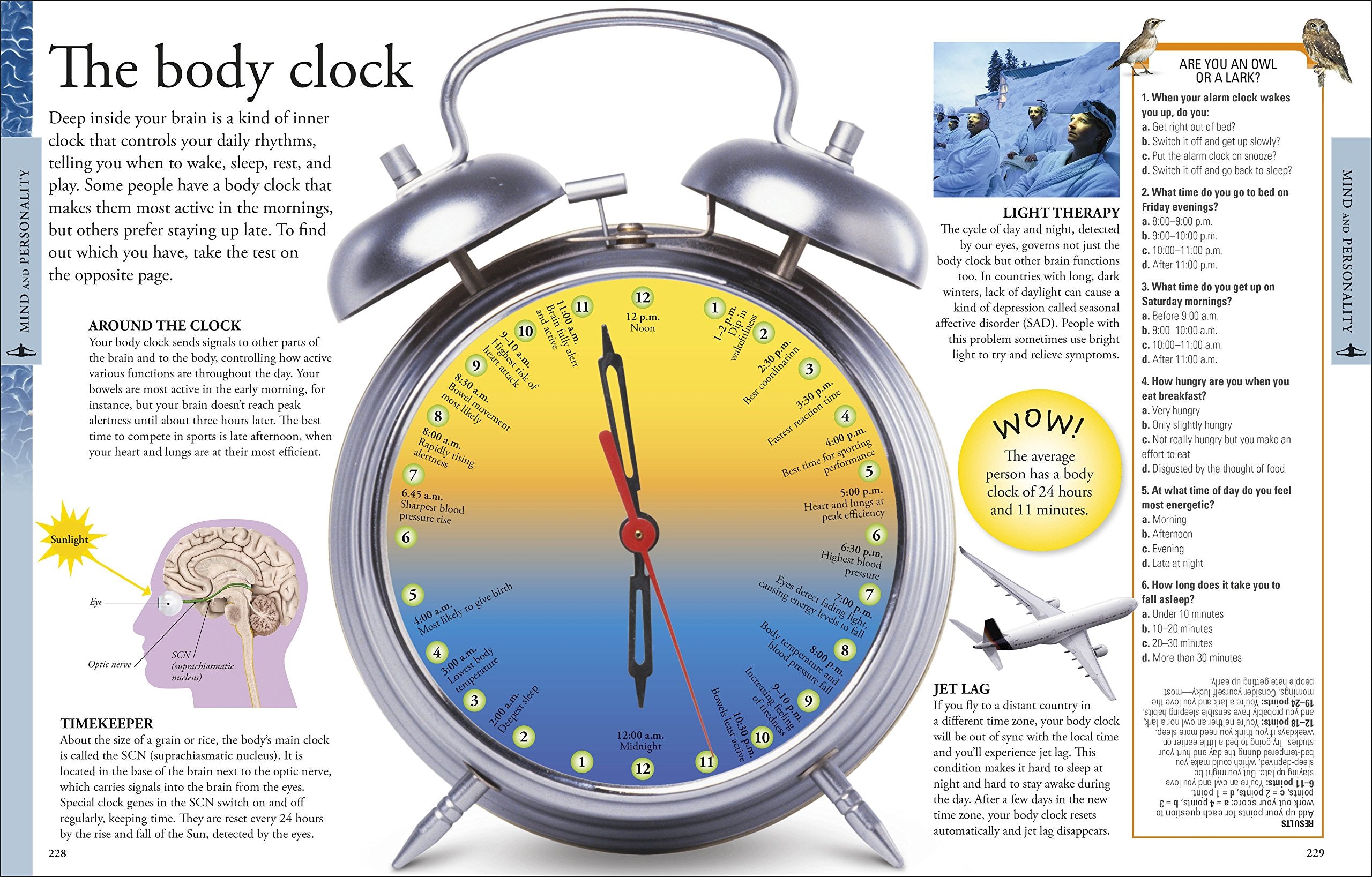 Human Body A Visual Encyclopedia by Dorling Kindersley 4