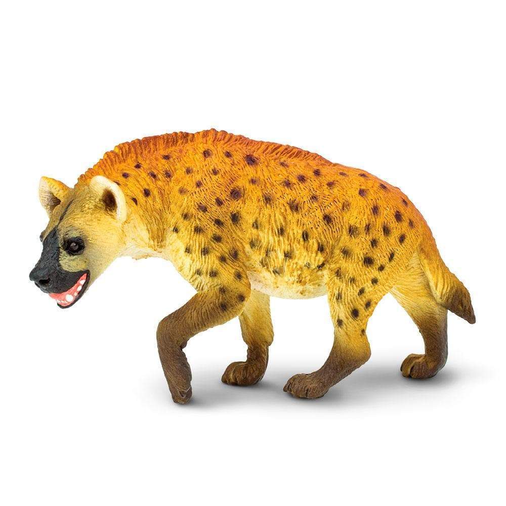 Hyena by Safari