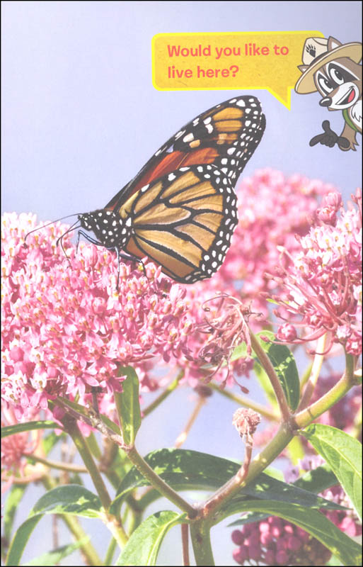 I Can Read Leve1 Ranger Rick I Wish I Was a Monarch Butterfly by Harper Collins 3