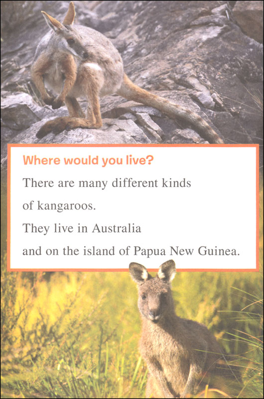 I Can Read Level 1 Ranger Rick I Wish I Was a Kangaroo by Harper Collins 3
