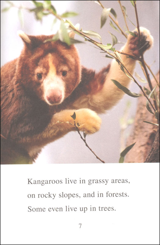 I Can Read Level 1 Ranger Rick I Wish I Was a Kangaroo by Harper Collins 4