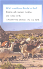 I Can Read Level 1 Ranger Rick I Wish I Was a Llama by Harper Collins 4