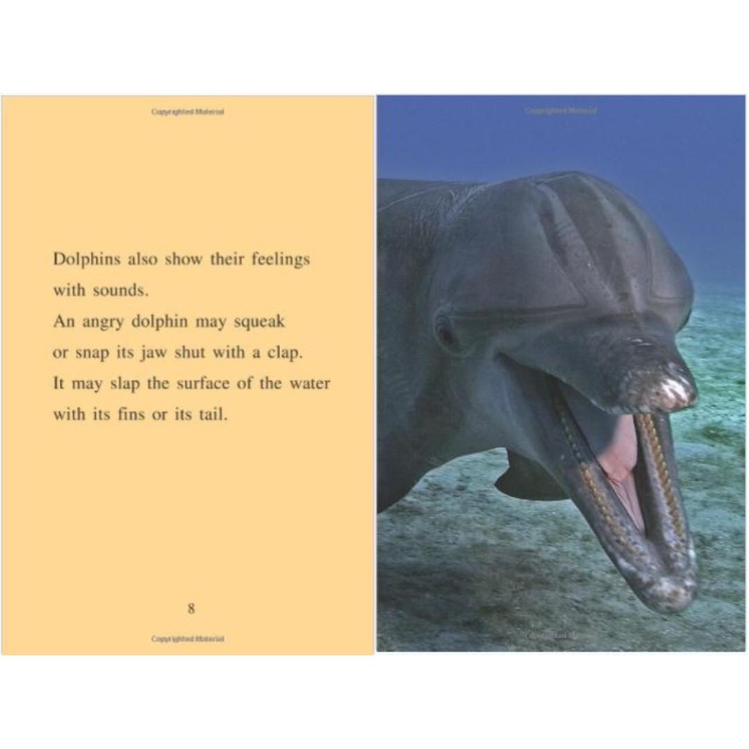 I Can Read Level 2 Amazing Dolphins by Harper Collins 3