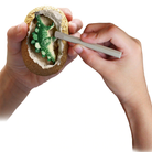 I Dig It Dino Egg by Thames Kosmos