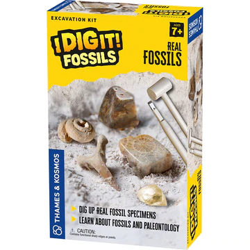 I Dig It Fossils Real Fossils Excavation Kit by Thames Kosmos