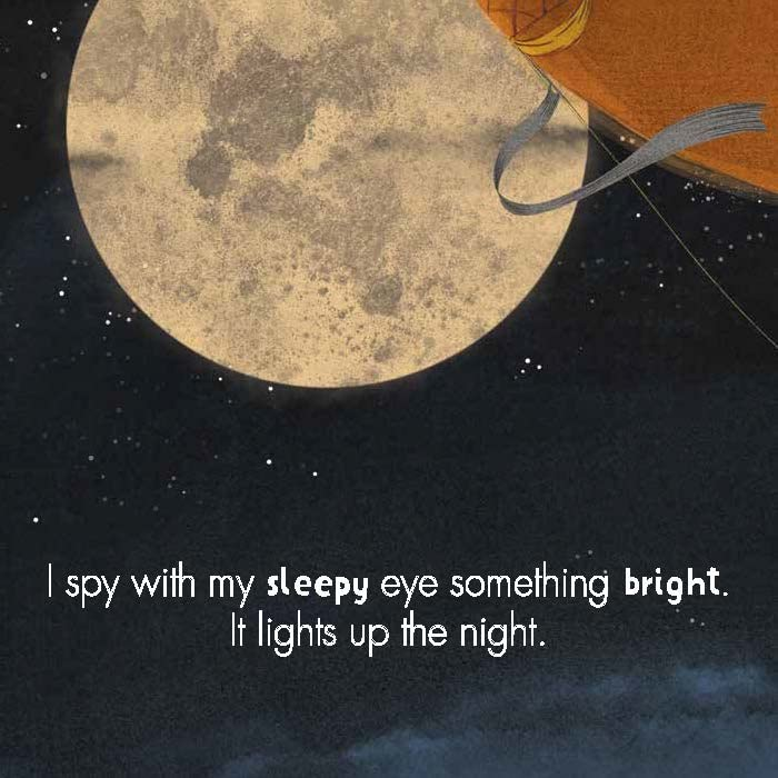 I Spy with My Curious Eye by Chronicle Books 3