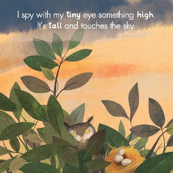I Spy with My Curious Eye by Chronicle Books 4