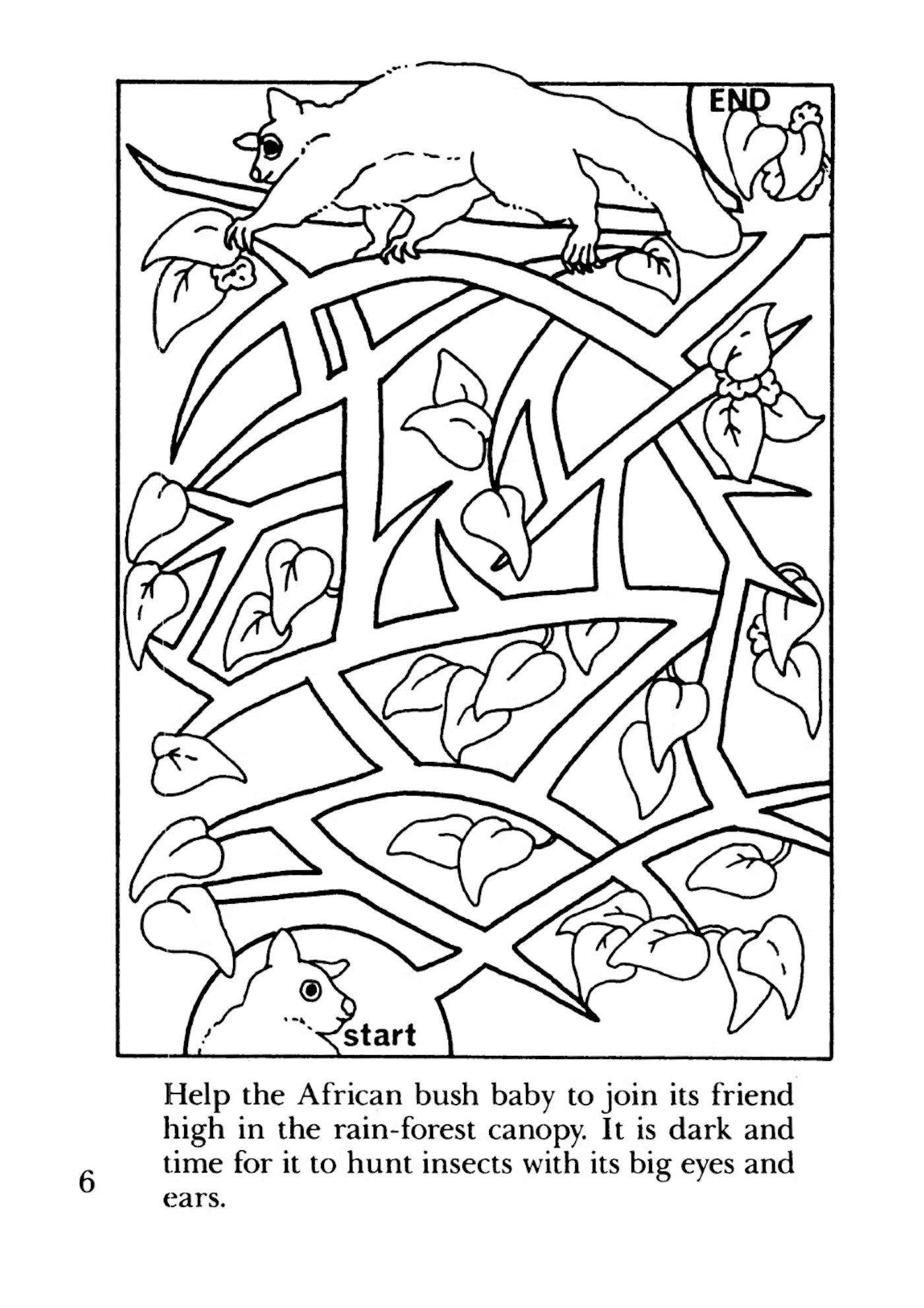 Nature Mazes by Dover Publications