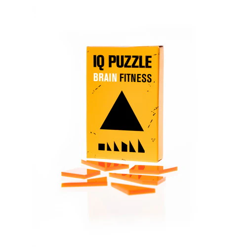 IQ Puzzle Box-by-Geek Toys