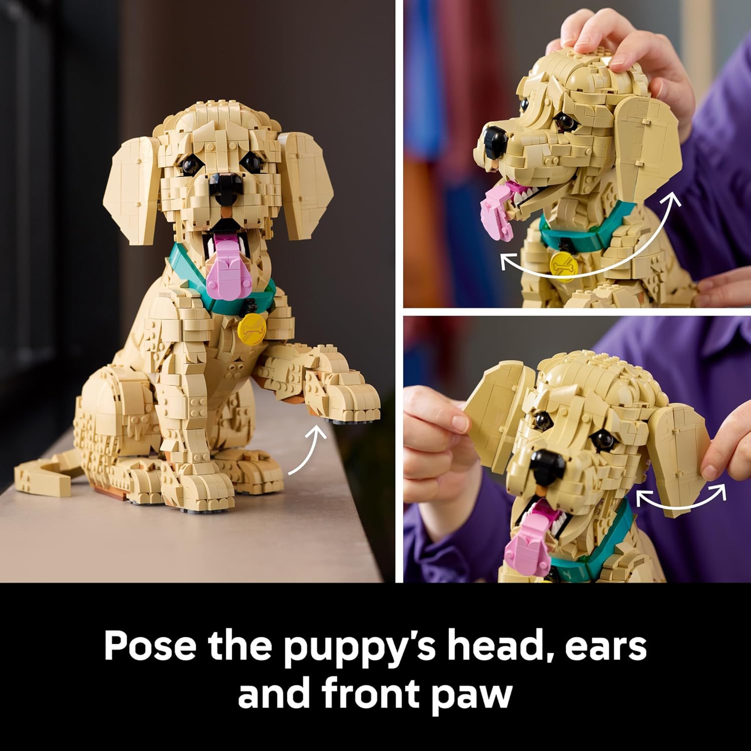 Icons Golden Retriever Puppy – A2Z Science & Toys