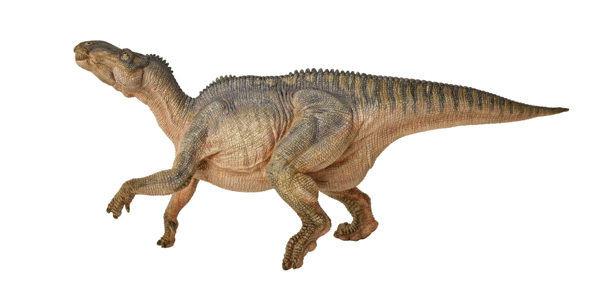 Iguanodon Figure by Papo 1