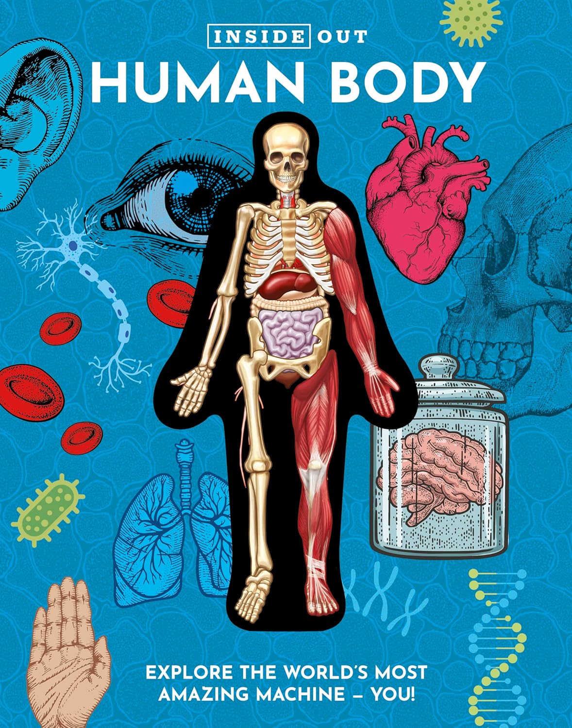 Inside Out Human Body: Explore the World's Most Amazing Machine - You!-by-Quarto Publishing