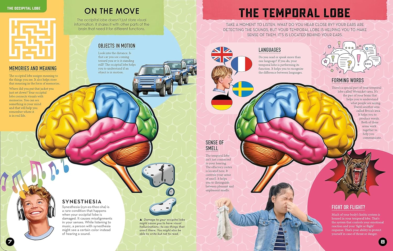 Inside Out Human Brain: Explore Inside Your Body's Super Computer