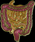 Intestine Pin by WM Spear Designs