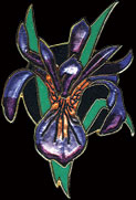 Iris Pin by WM Spear Designs