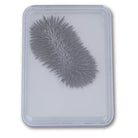 Iron FIling Case by Steve Spangler Science