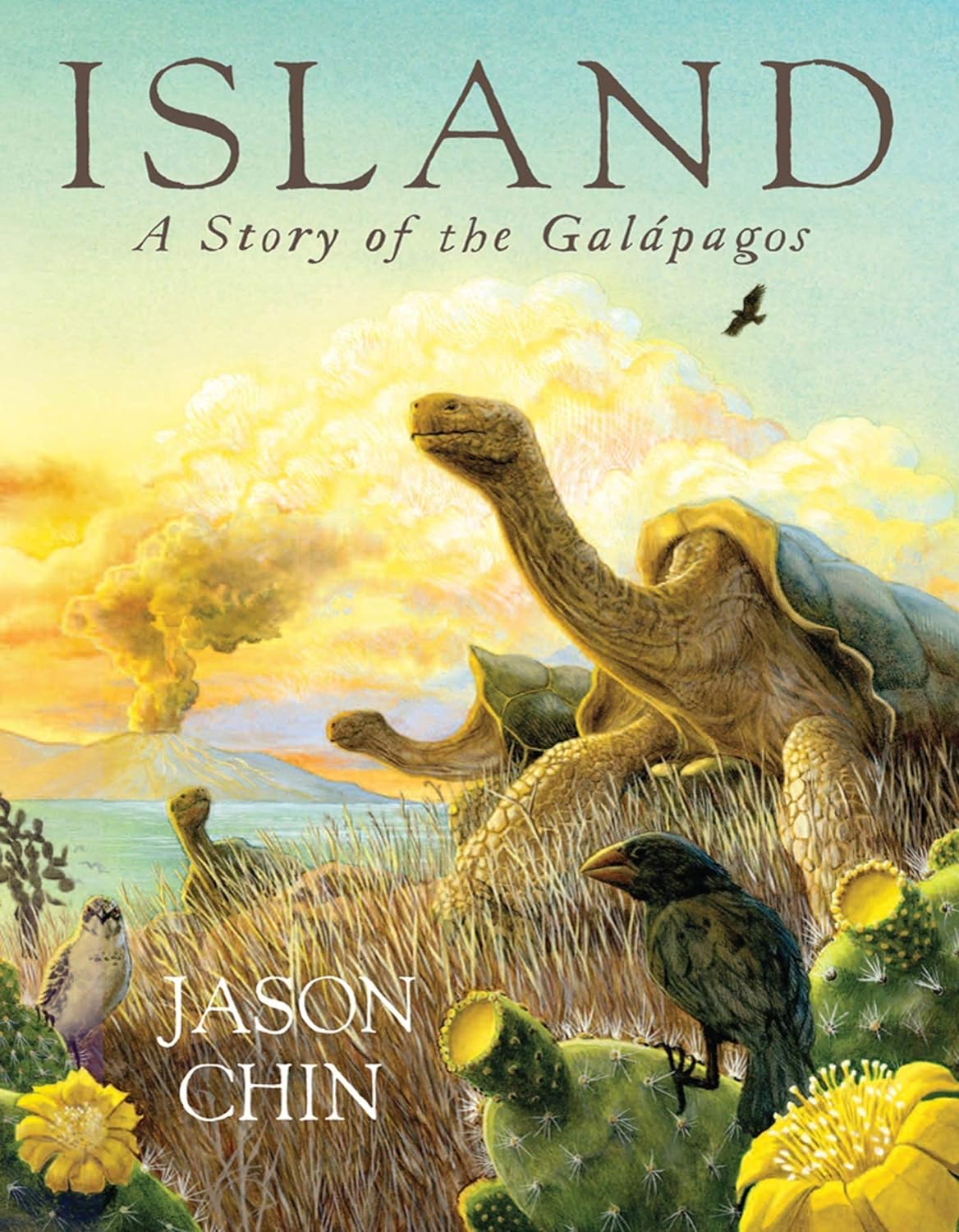 Island: A Story of the Galápagos-by-Macmillan