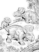 Jim Lawsons Dinosaurs Coloring Book by Dover Publications 2