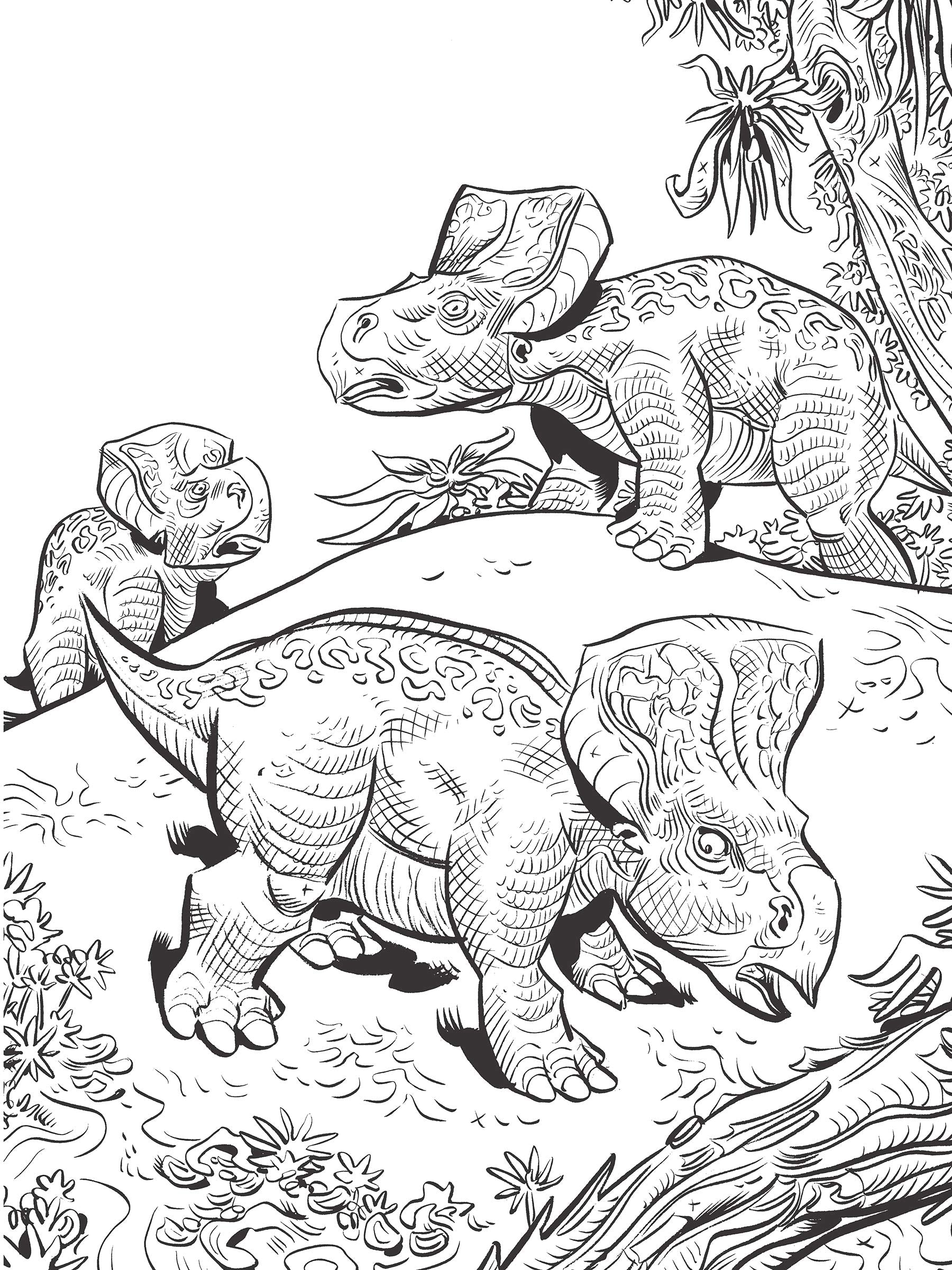 Jim Lawsons Dinosaurs Coloring Book by Dover Publications 2