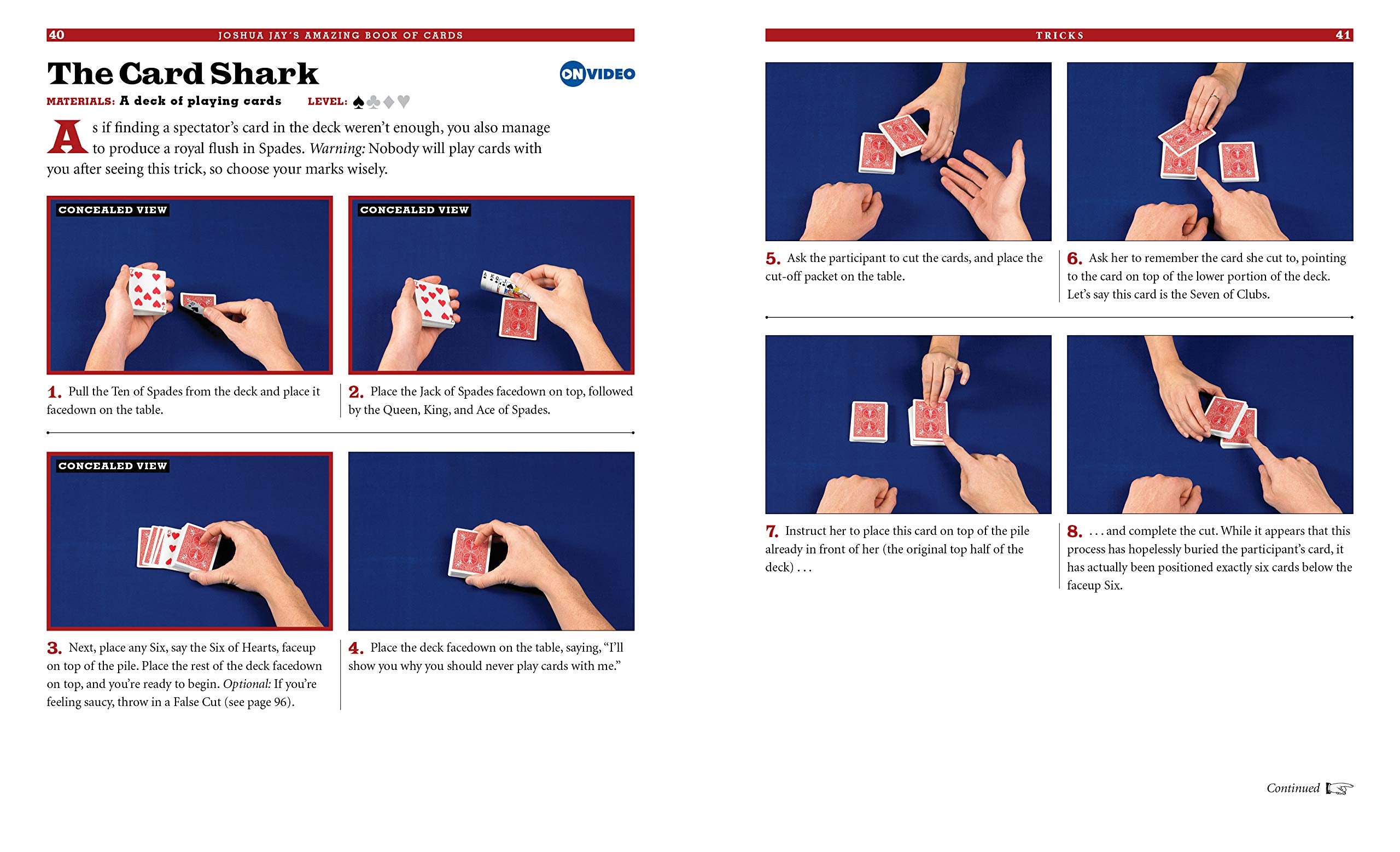 Joshua Jays Amazing Book of Cards by Workman 1