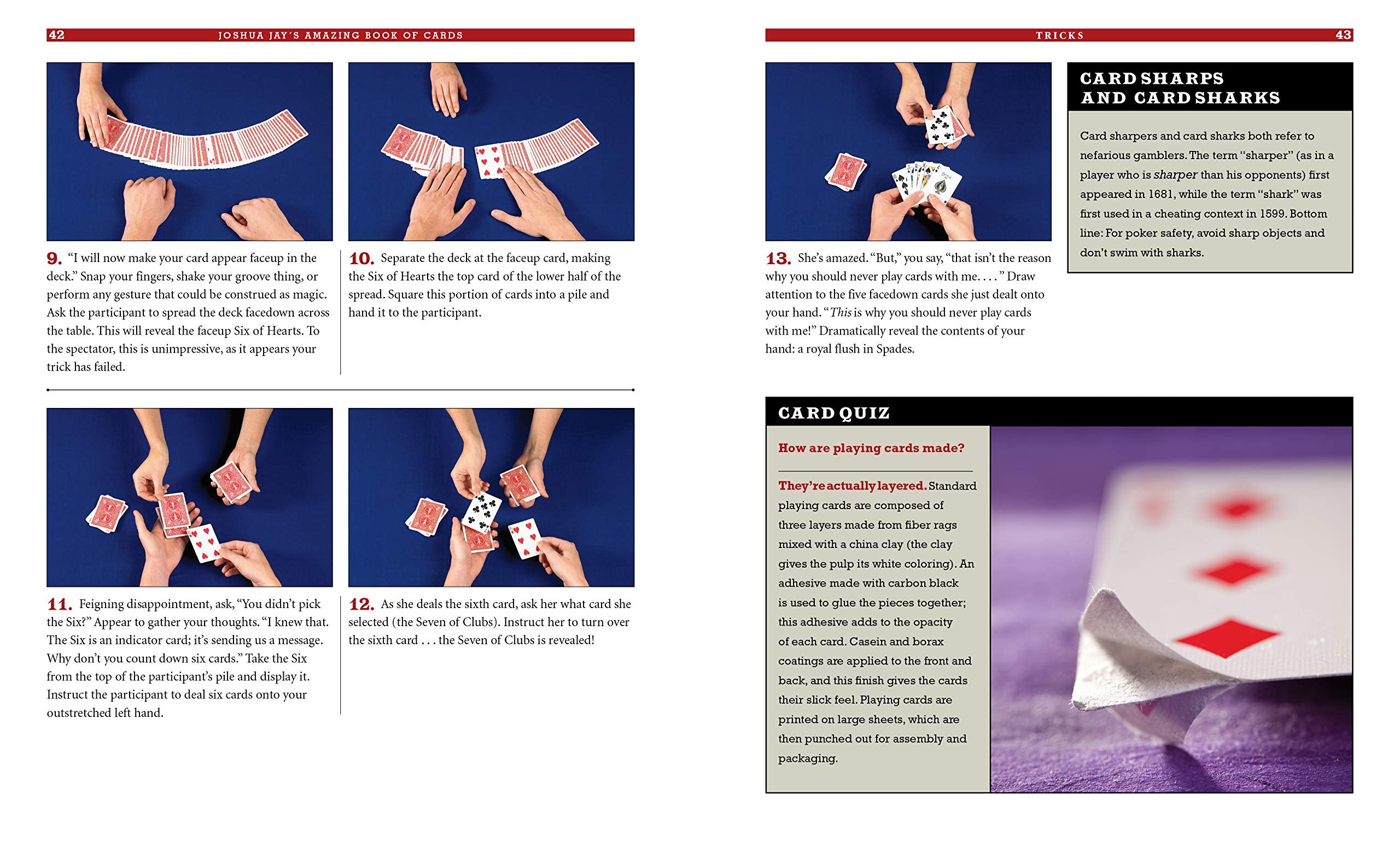 Joshua Jays Amazing Book of Cards by Workman 2