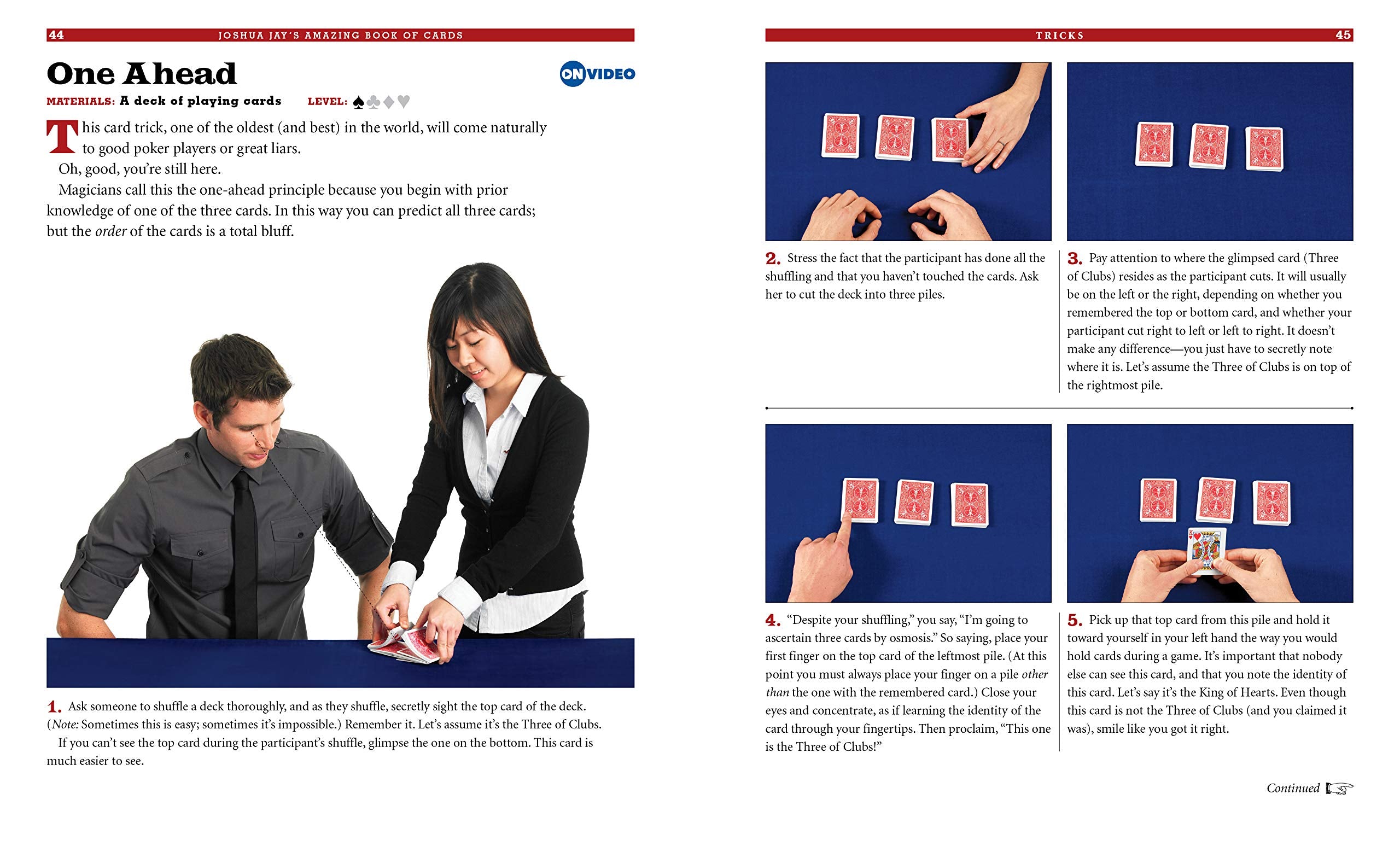 Joshua Jays Amazing Book of Cards by Workman 3