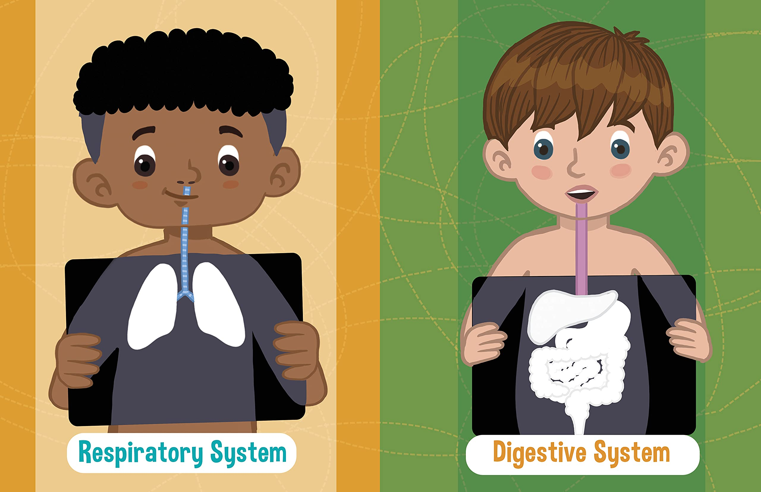 Jumbo Stickers for Little Hands Human Body by Quarto Publishing 1