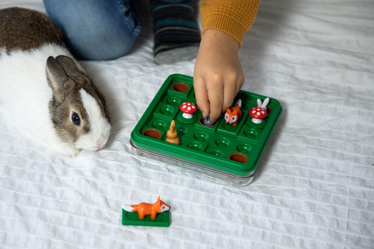 Jump In by SmartGames 4