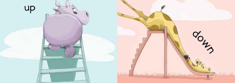 Jungle Gym by Sleeping Bear Press 1