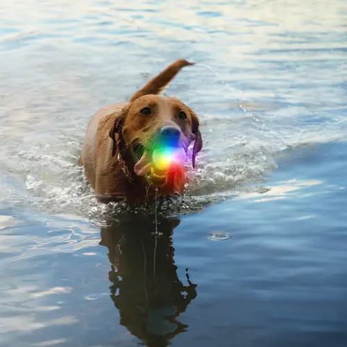 Glowstreak Recharable LED Ball by Niteize