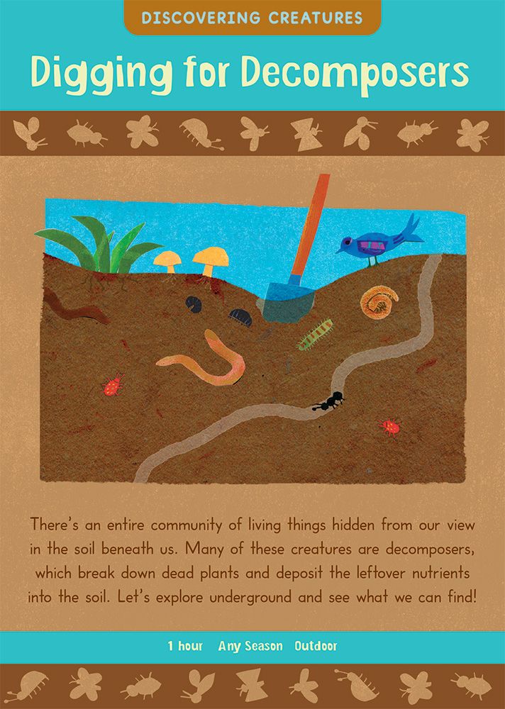 Kids Garden 50 Hands On Activities for All Season by Barefoot Books 1