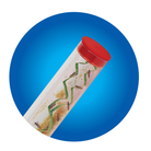 Ladybug Land by Insect Lore 5