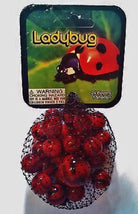 Ladybug Marble Pack by Play Visions