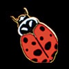 Ladybug Pig by WM Spear Designs