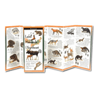 Land Mammals of the Northeast by Earth Sky Water 1