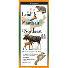 Land Mammals of the Northeast by Earth Sky Water