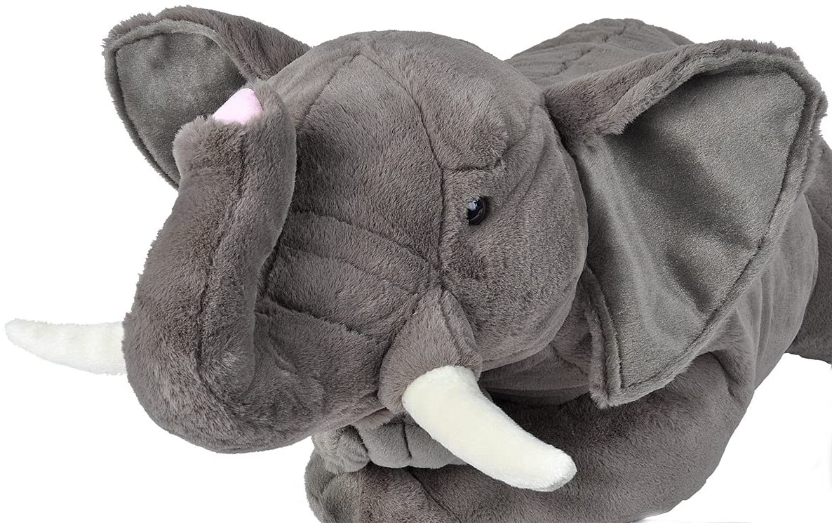 Large African Elephant 30
