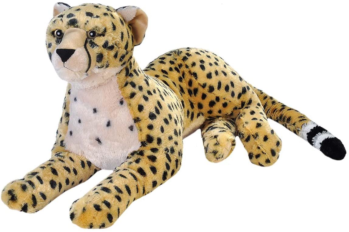 Large Cheetah 30