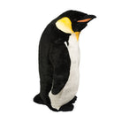 Large Orville Emperor Penguin by Douglas