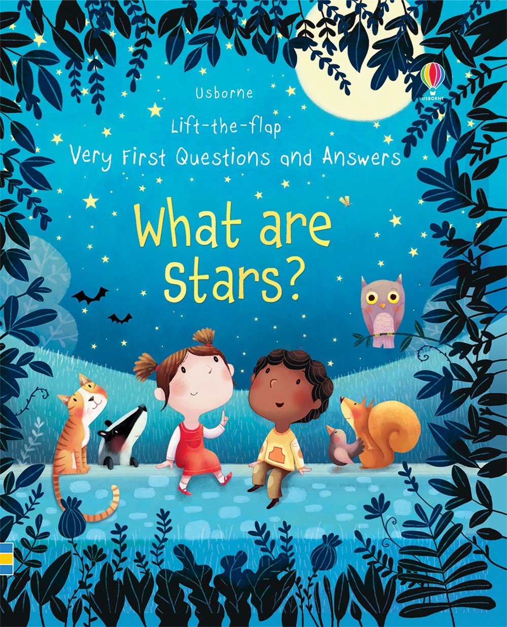 Lift the Flap Very First Questions and Answers What are Stars by Usbourne