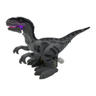 Light Motion Wind Up Dinosaurs by Streamline 1