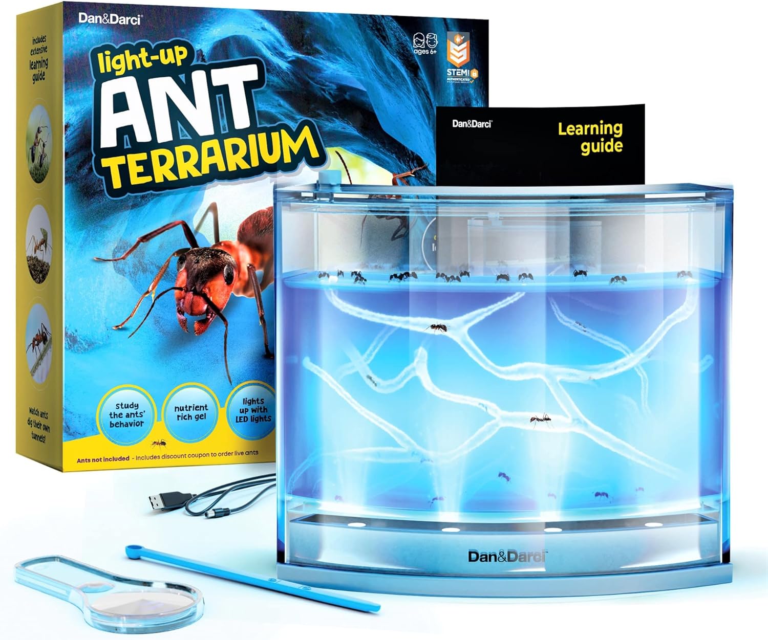 antアイテム Light Up Ant Habitat – A2Z Science & Toys