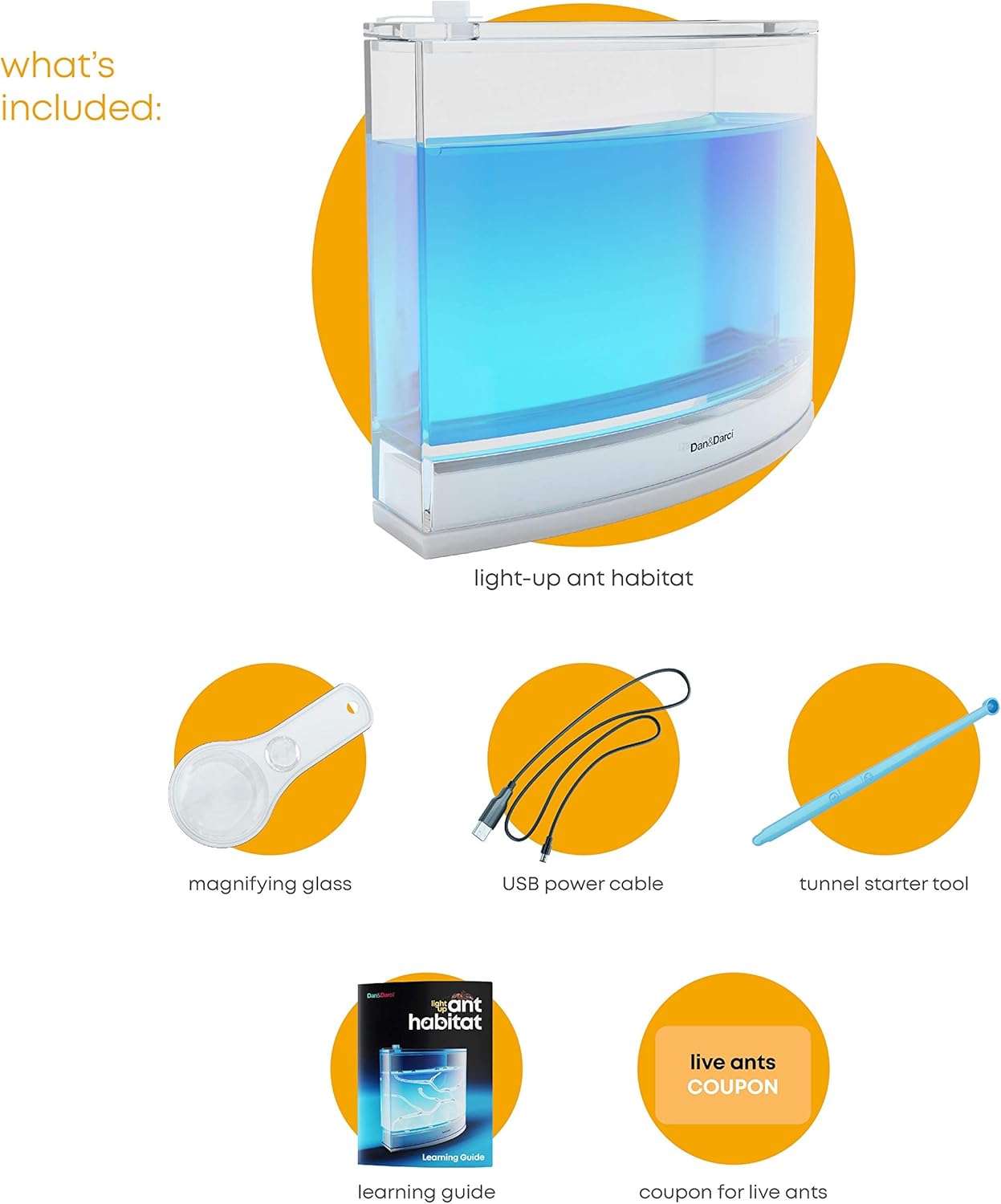 Light Up Ant Habitat – A2Z Science & Toys